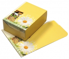 Yellowline 5711 Fotobox 11x15-100 (500 St)