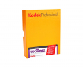 Kodak TMX 100 4x5 (10 sheets)