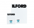 Ilford Delta 100 4x5 (10,2 x 12,7 cm) / 25 Blatt  CAT-1743445